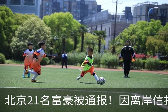 北京21名富豪被通报！因离岸信托不纳税