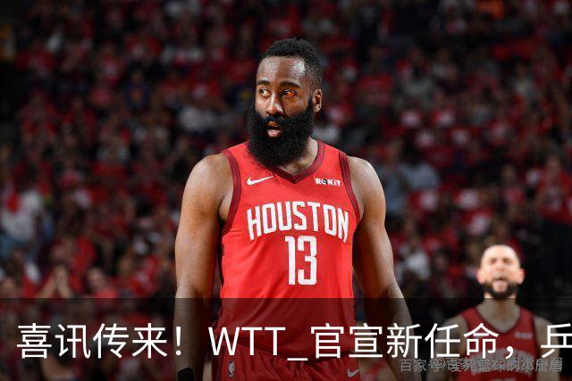 喜讯传来！WTT 官宣新任命，乒乓美女升职，扛起总监重任！