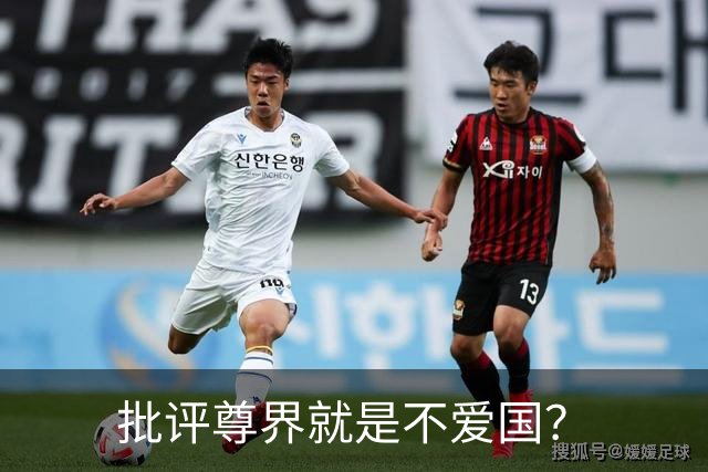 批评尊界就是不爱国？