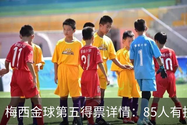 梅西金球第五得票详情：85人有投梅西，佛得角埃及等15名记者未投