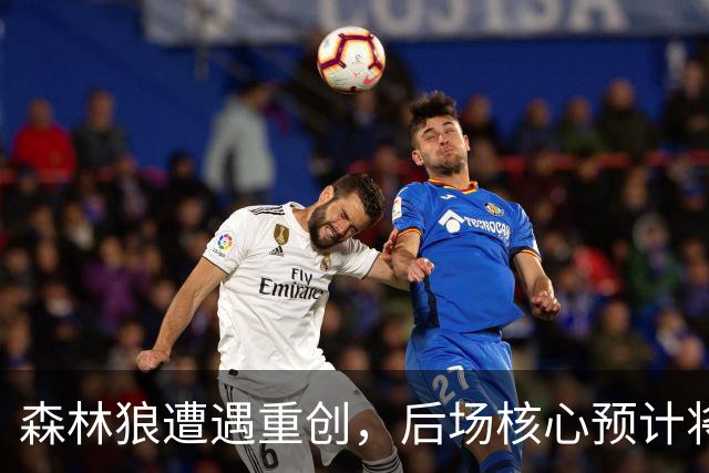 森林狼遭遇重创，后场核心预计将缺席两个月的时间？