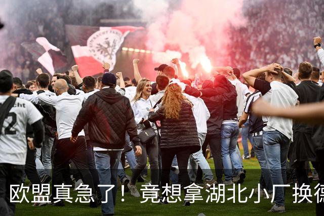 欧盟真急了！竟想拿湖北小厂换德国12人作坊，阿斯麦供应链要断了
