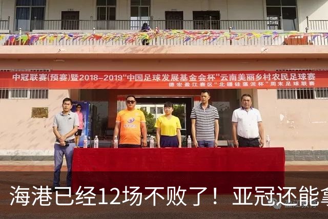 海港已经12场不败了！亚冠还能拿下越南俱乐部 刷战绩吗