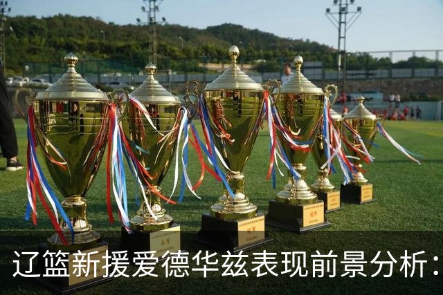 辽篮新援爱德华兹表现前景分析：首秀惊艳期待后续发挥