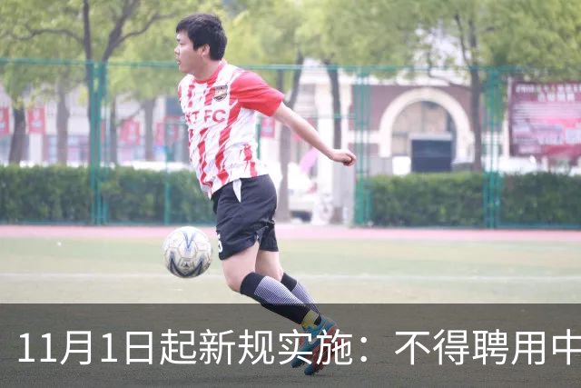11月1日起新规实施：不得聘用中小学、幼儿园在职教师！